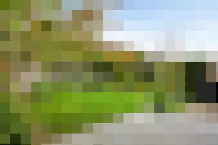 Gaffel 74 's-Hertogenbosch thumbnail 25