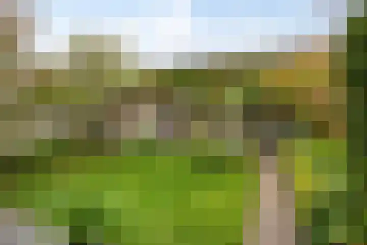 Gaffel 74 's-Hertogenbosch thumbnail 26