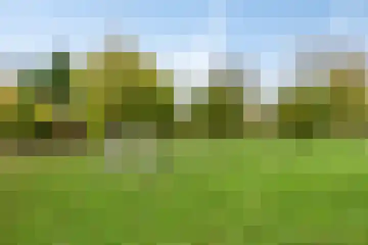 Gaffel 74 's-Hertogenbosch thumbnail 30