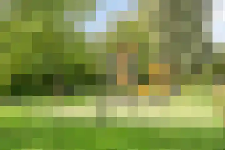 Gaffel 74 's-Hertogenbosch thumbnail 31