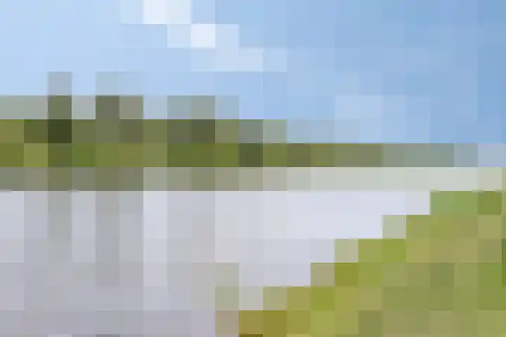 Gaffel 74 's-Hertogenbosch thumbnail 32