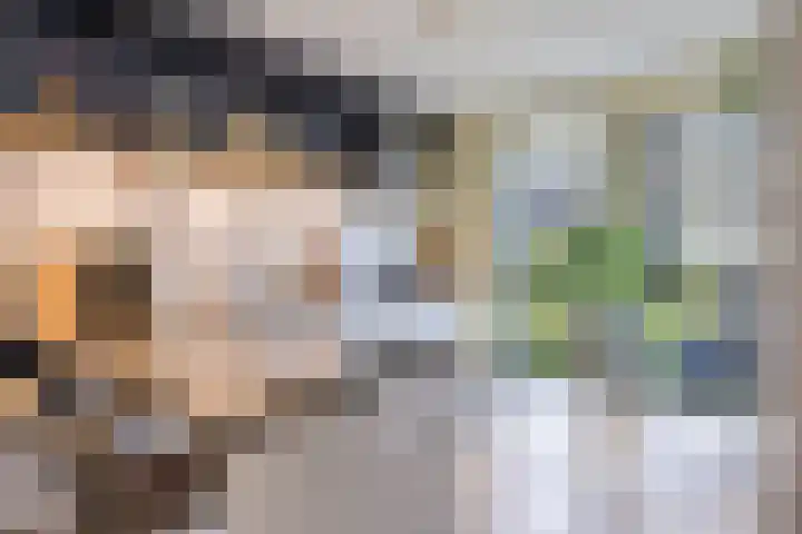 Gaffel 74 's-Hertogenbosch thumbnail 6