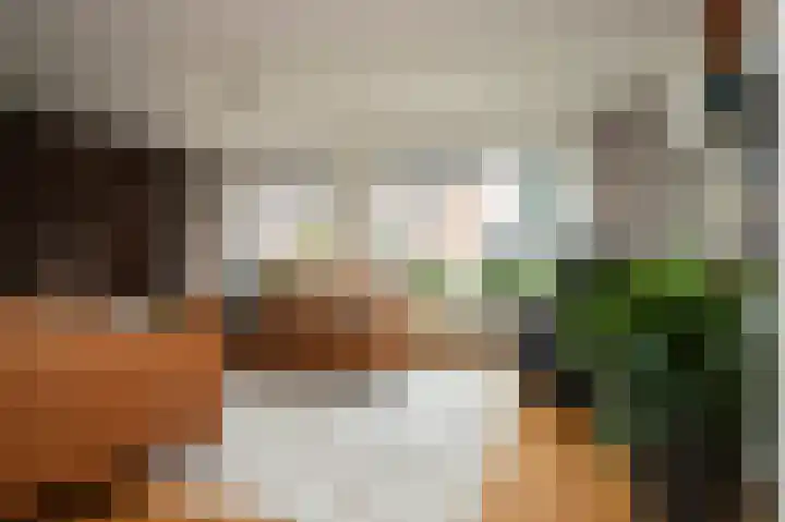 Gaffel 76 Hasselt thumbnail 15