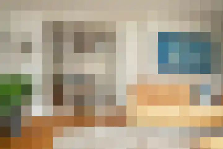 Gaffel 76 Hasselt thumbnail 16