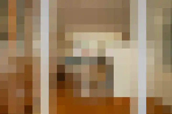 Gaffel 76 Hasselt thumbnail 17