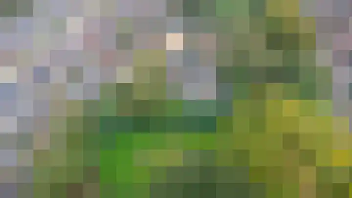 Gaffel 76 Hasselt thumbnail 22