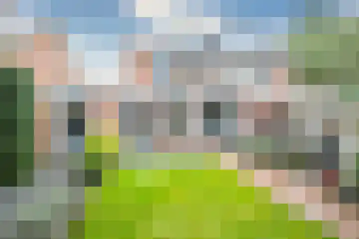 Gaffel 76 Hasselt thumbnail 23