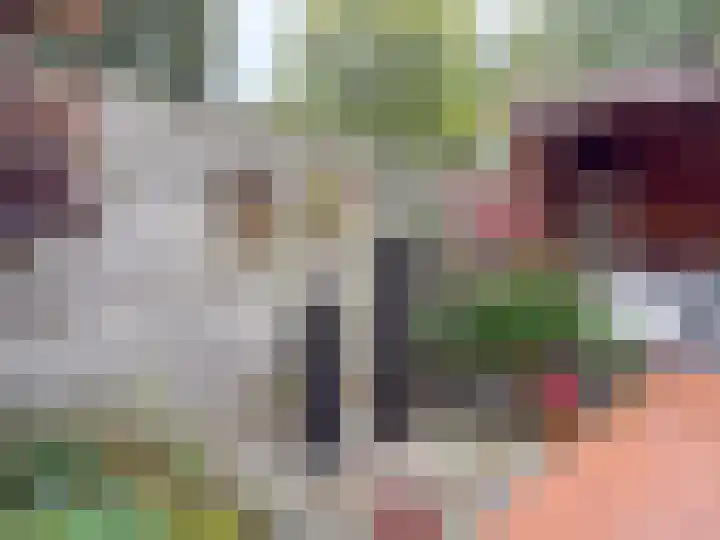 Gaffel 76 Hasselt thumbnail 26