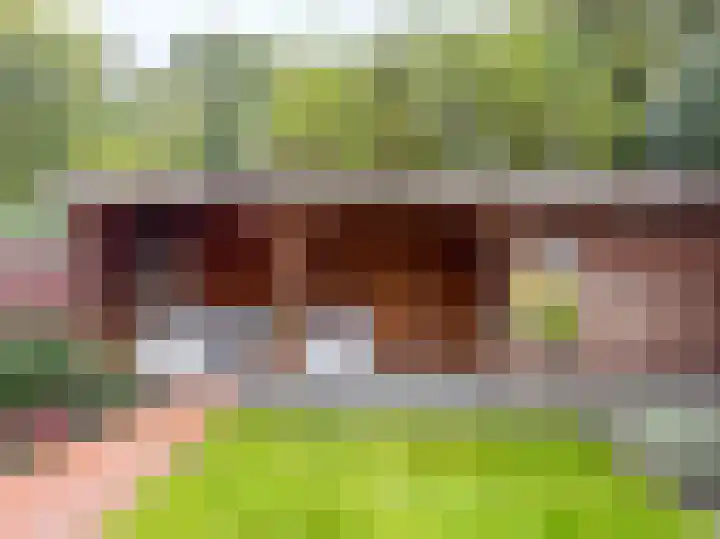 Gaffel 76 Hasselt thumbnail 27