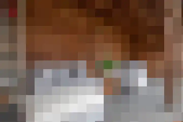 Gaffel 76 Hasselt thumbnail 28