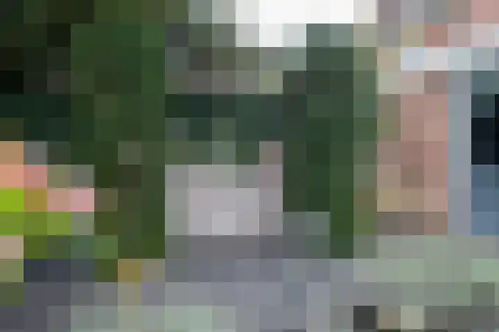 Gaffel 76 Hasselt thumbnail 30