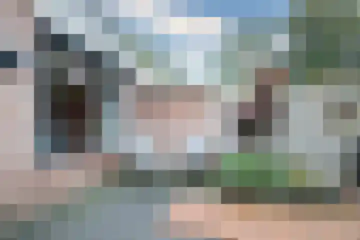 Gaffel 76 Hasselt thumbnail 31