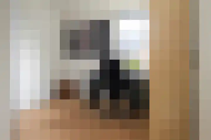 Gaffel 76 Hasselt thumbnail 35
