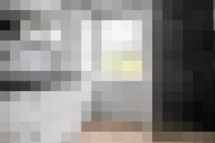 Gaffel 76 Hasselt thumbnail 36