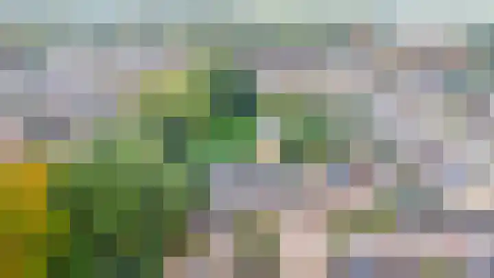 Gaffel 76 Hasselt thumbnail 7