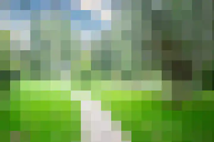 Gaffel 76 Hasselt thumbnail 8