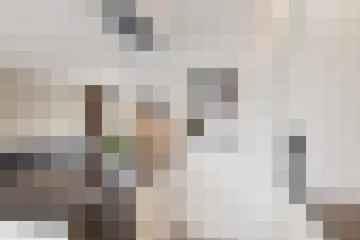Gaffelaar 15 Lemmer thumbnail 12