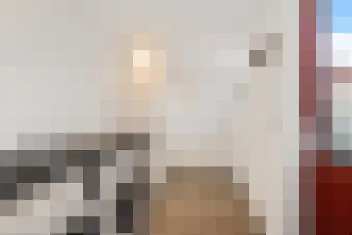 Gaffelaar 15 Lemmer thumbnail 15