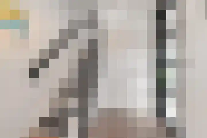 Gaffelaar 15 Lemmer thumbnail 18
