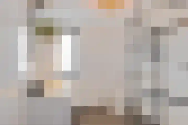 Gaffelaar 15 Lemmer thumbnail 19
