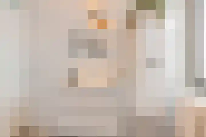 Gaffelaar 15 Lemmer thumbnail 20