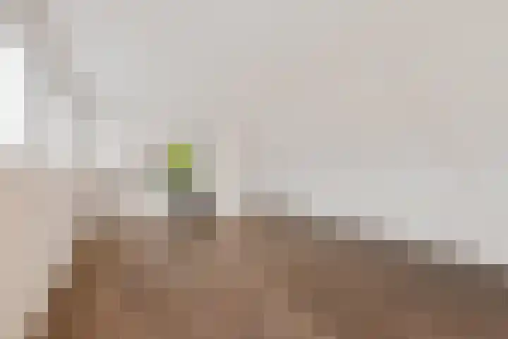 Gaffelaar 15 Lemmer thumbnail 33