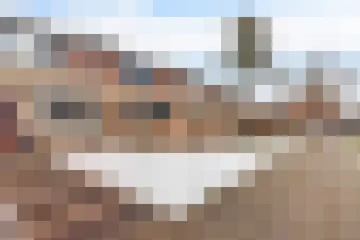 Gaffelaar 15 Lemmer thumbnail 43