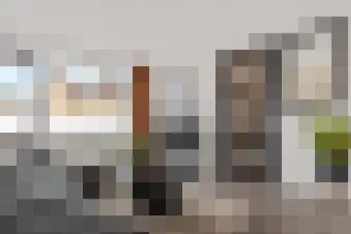 Gaffelaar 15 Lemmer thumbnail 5