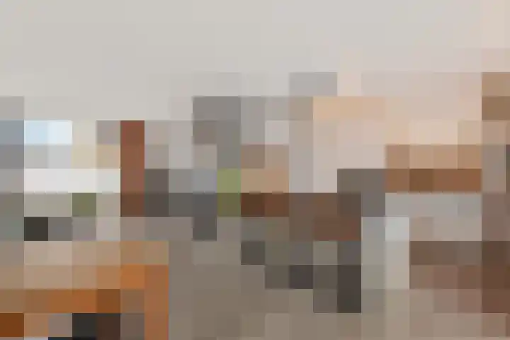 Gaffelaar 15 Lemmer thumbnail 9