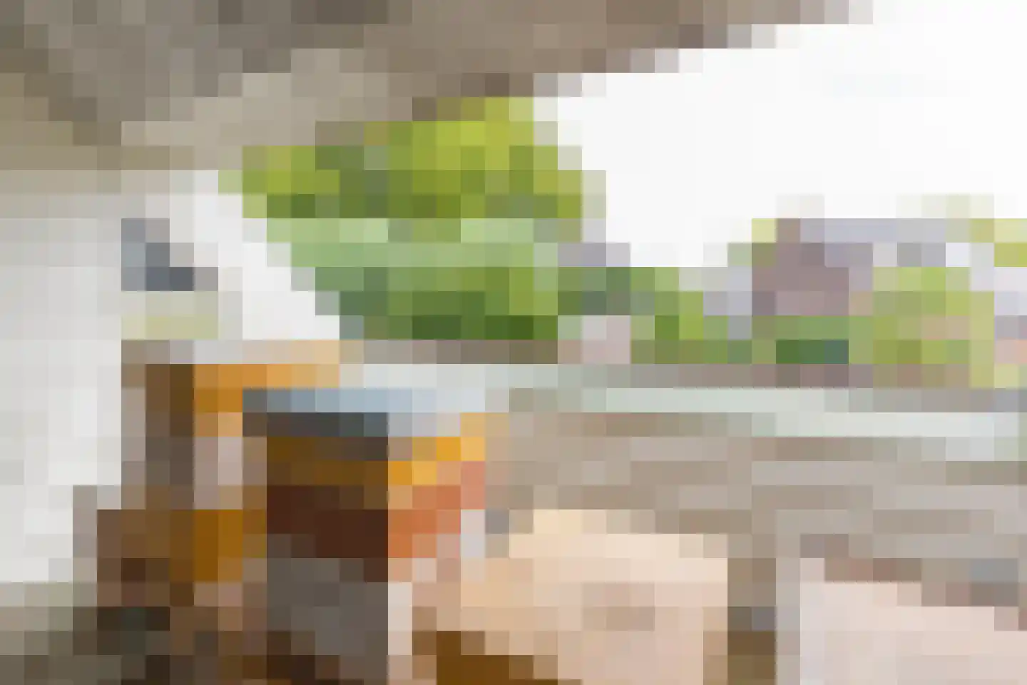 Gaffelaar 29 Barendrecht thumbnail 39