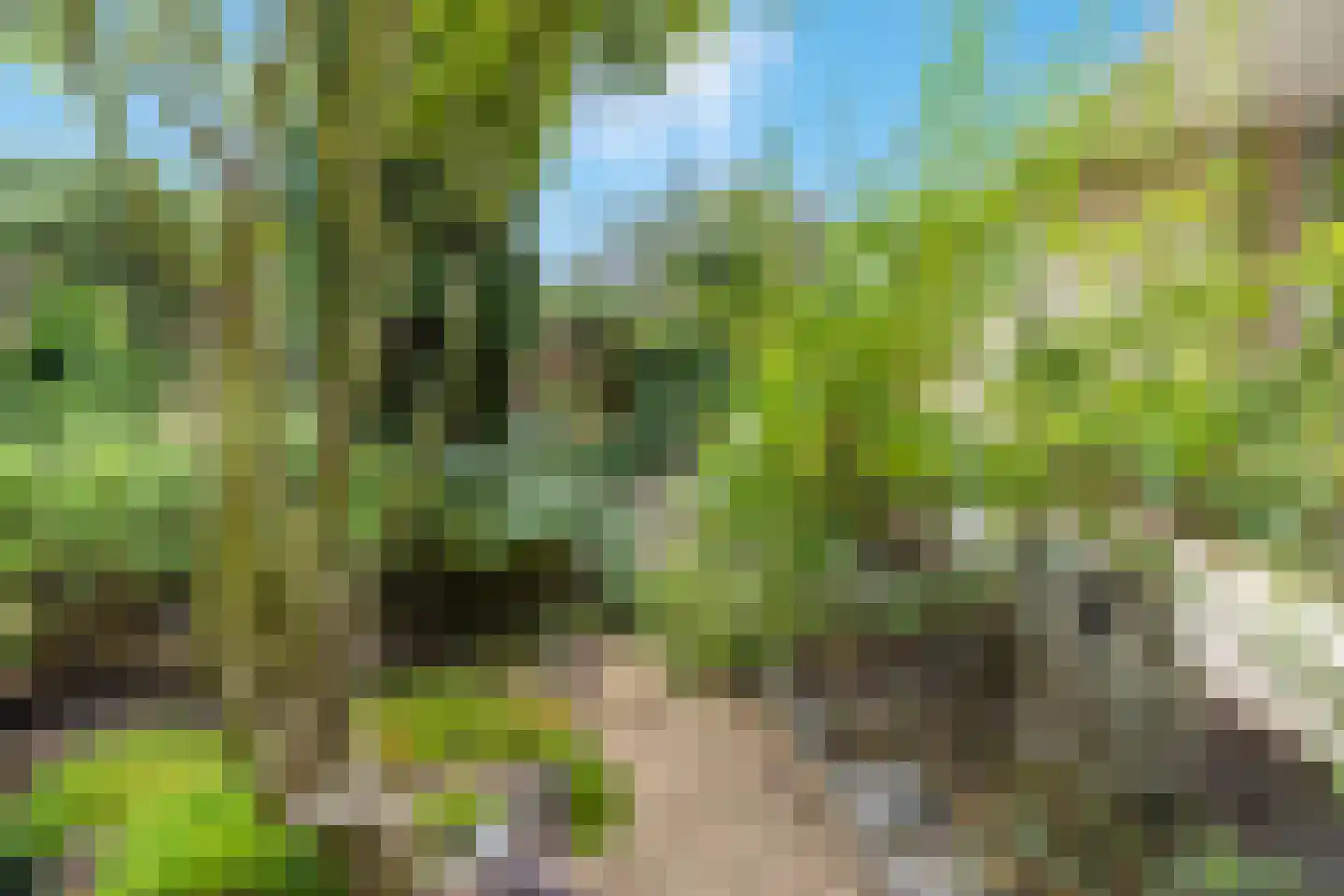 Gaffelaar 29 Barendrecht thumbnail 5