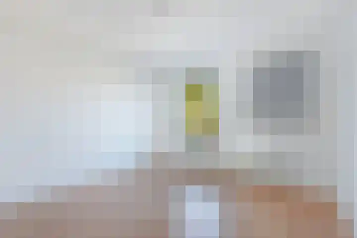 Gaffelaar 3 Franeker thumbnail 24