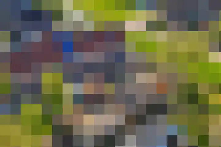 Gaffelaar 3 Franeker thumbnail 43
