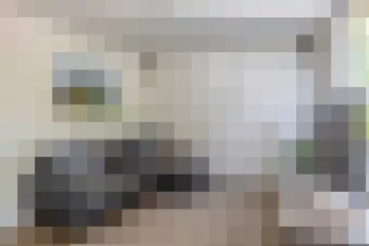 Gaffelaar 30 Brielle thumbnail 11