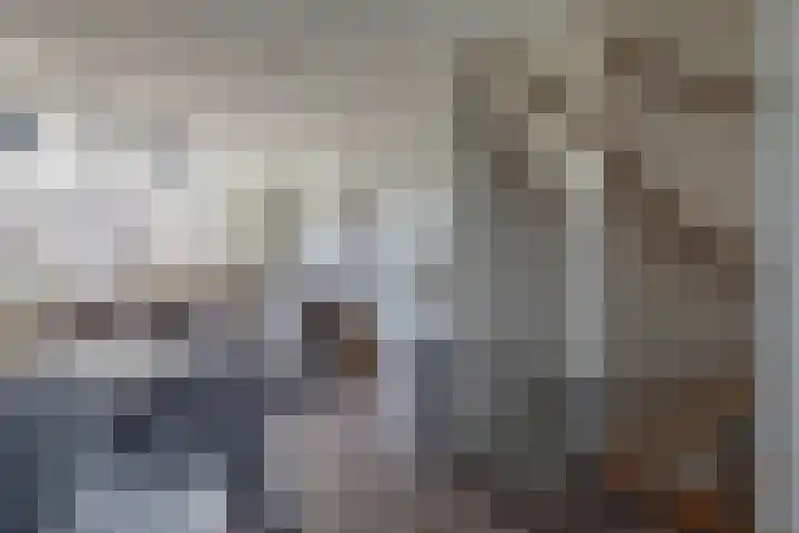Gaffelaar 30 Brielle thumbnail 17