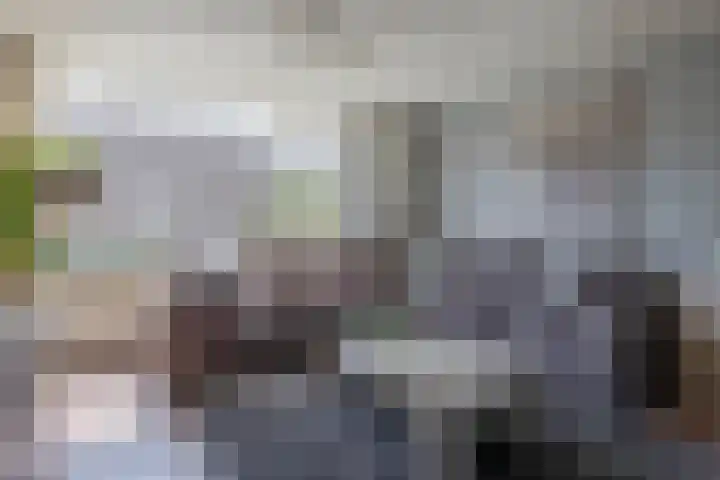 Gaffelaar 30 Brielle thumbnail 18