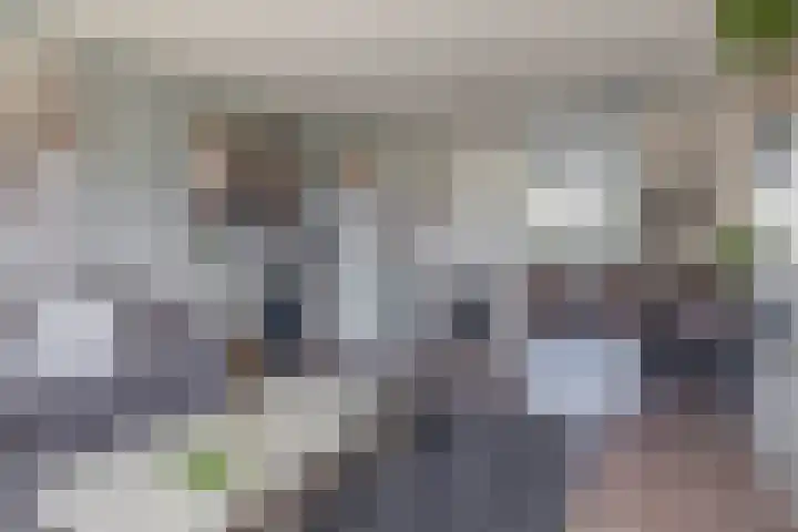 Gaffelaar 30 Brielle thumbnail 20