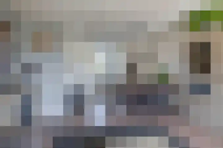 Gaffelaar 30 Brielle thumbnail 21