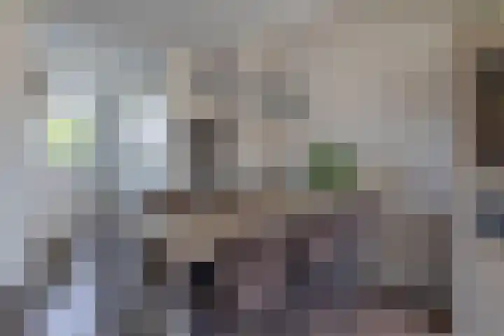 Gaffelaar 30 Brielle thumbnail 22