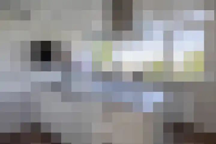 Gaffelaar 30 Brielle thumbnail 23
