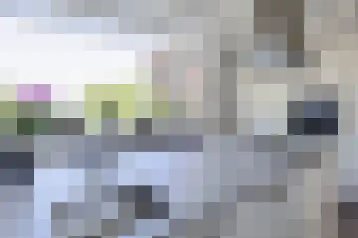 Gaffelaar 30 Brielle thumbnail 24
