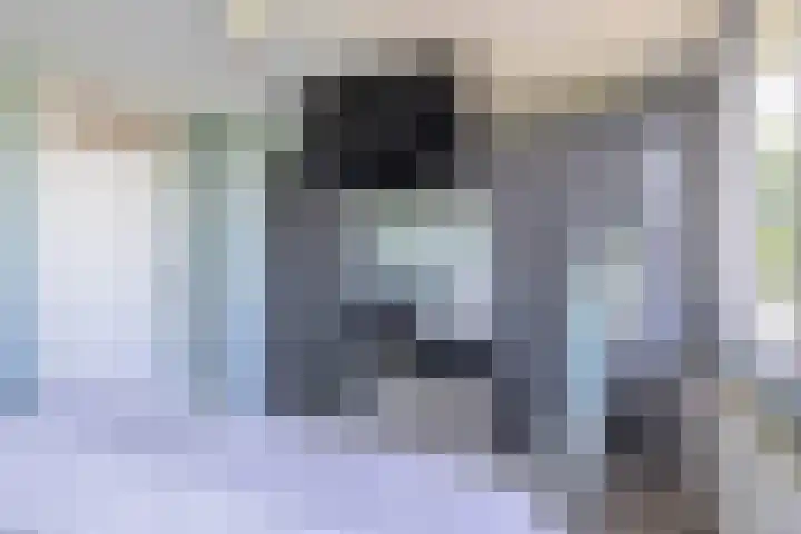Gaffelaar 30 Brielle thumbnail 29