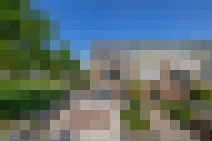 Gaffelaar 30 Brielle thumbnail 4