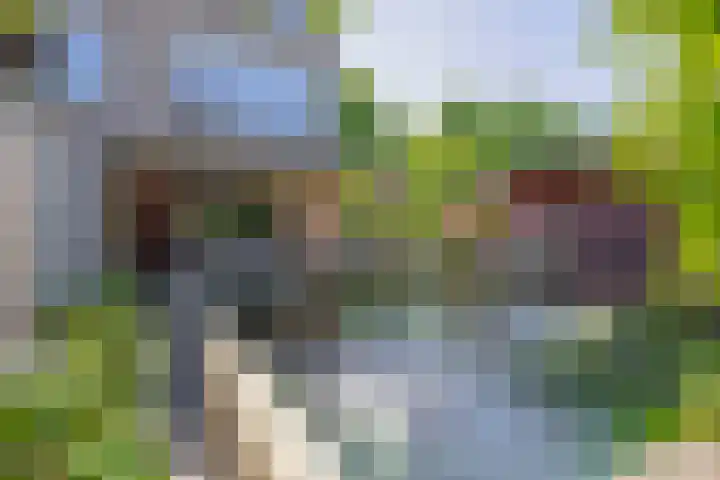Gaffelaar 30 Brielle thumbnail 42