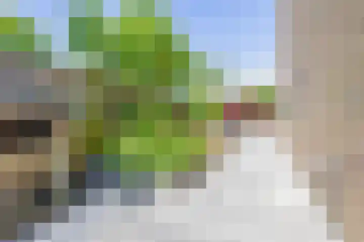 Gaffelaar 30 Brielle thumbnail 45