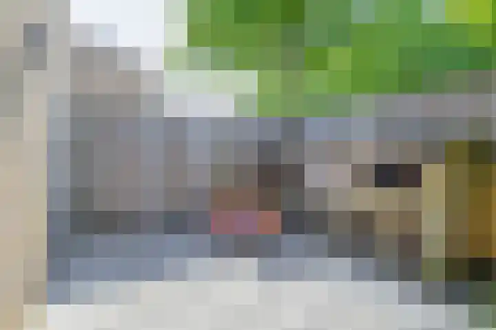 Gaffelaar 30 Brielle thumbnail 47