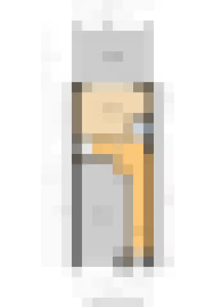 Gaffelaar 30 Brielle thumbnail 5