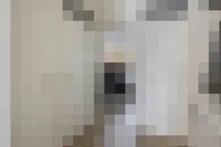Gaffelaar 30 Brielle thumbnail 9