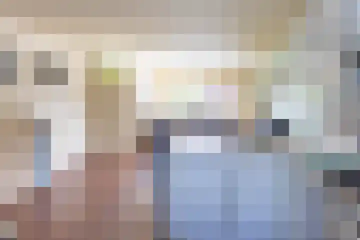 Gaffelaar 7 Franeker thumbnail 15