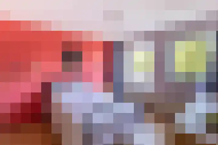 Gaffelaar 7 Franeker thumbnail 22